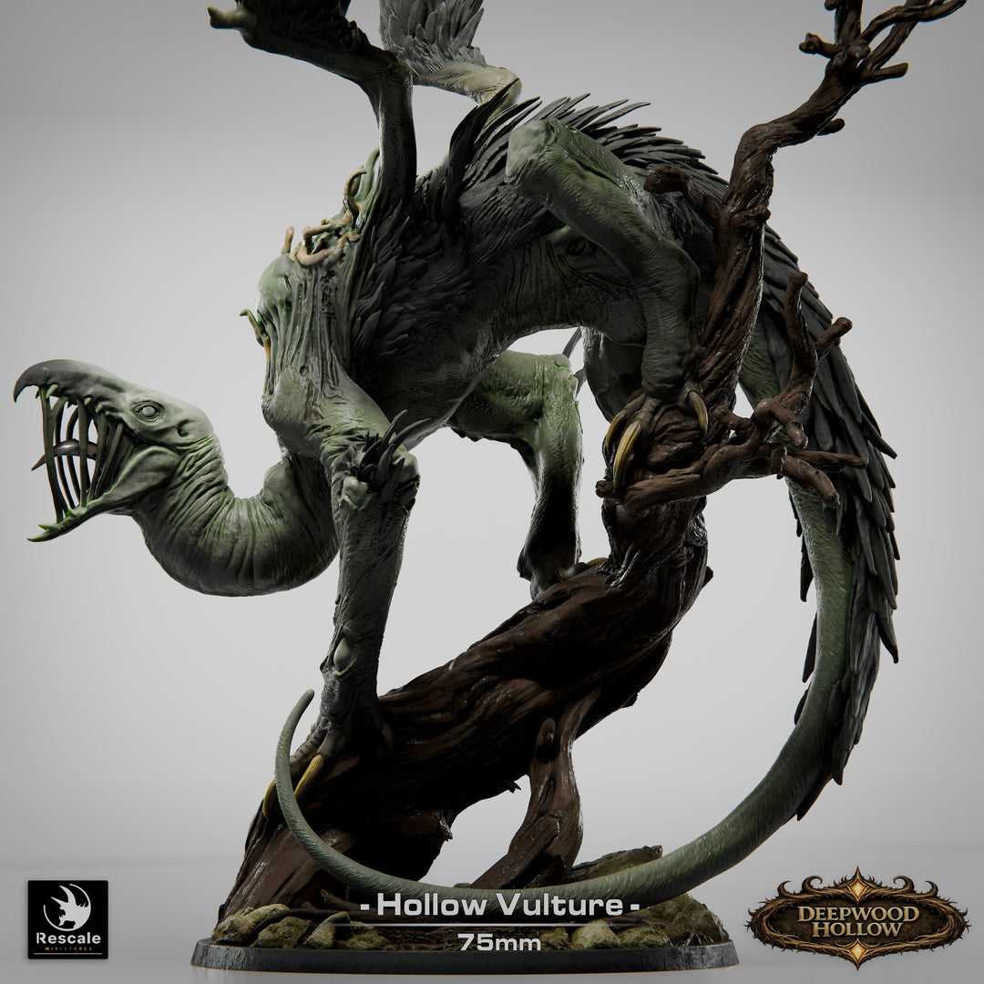 Hollow Vulture