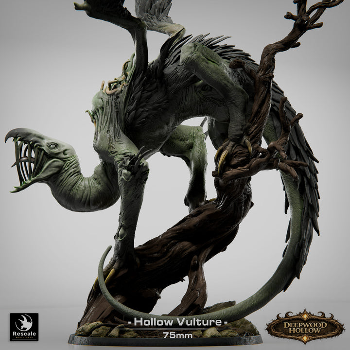 Hollow Vulture
