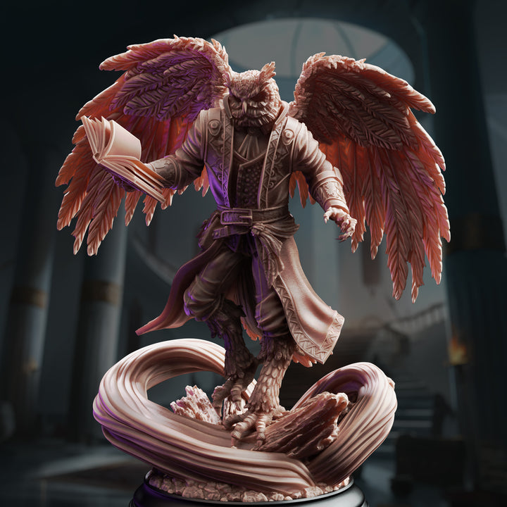 owlkin Sorcerer - Hoover Brightfeather unpainted resin sorcerer miniature by DM Stash, 28-32mm DnD tabletop model.