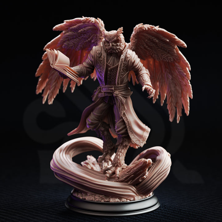 owlkin Sorcerer - Hoover Brightfeather