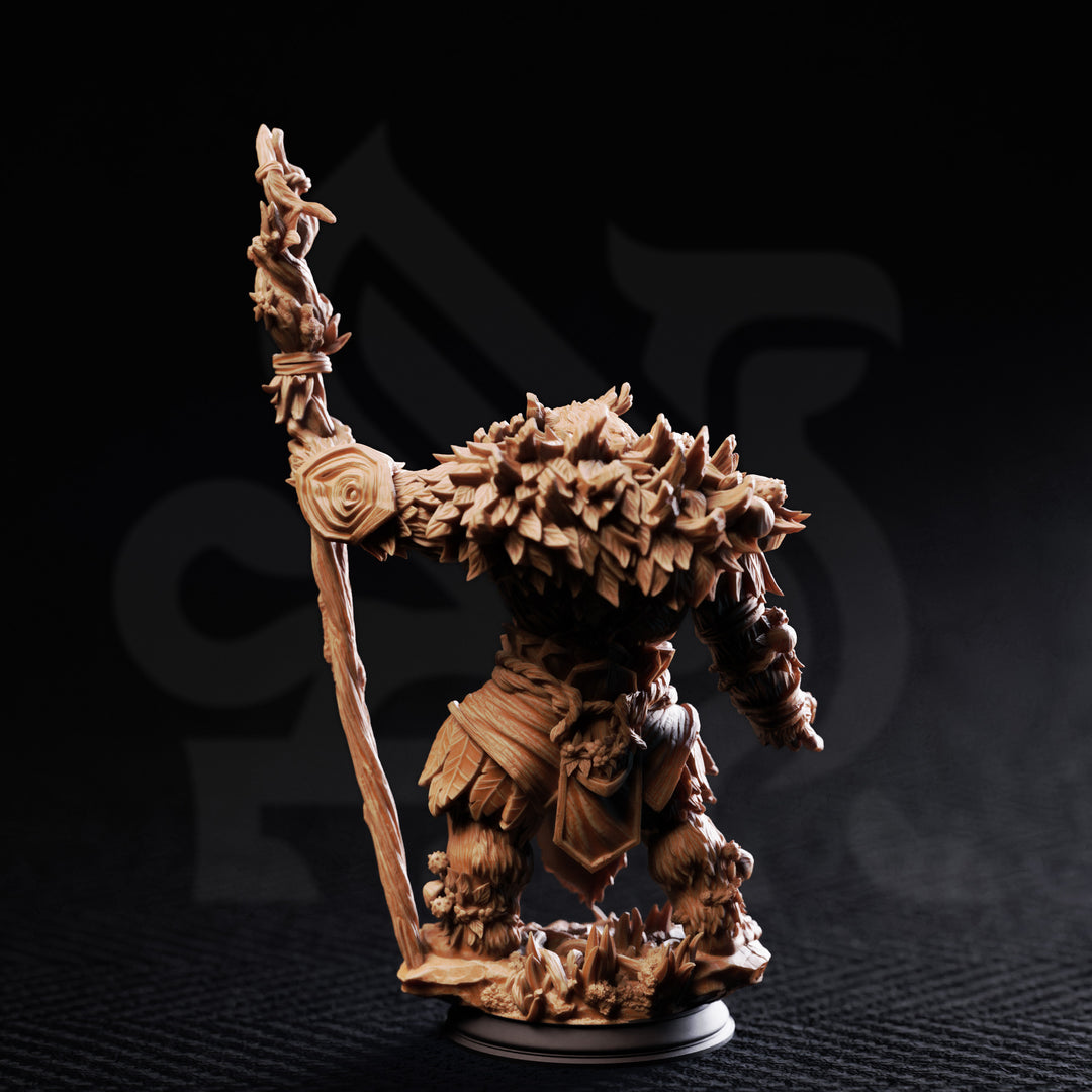 Werebear Druid - Hvitabjorn