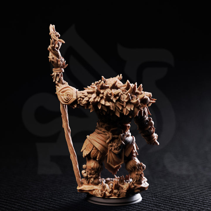 Werebear Druid - Hvitabjorn