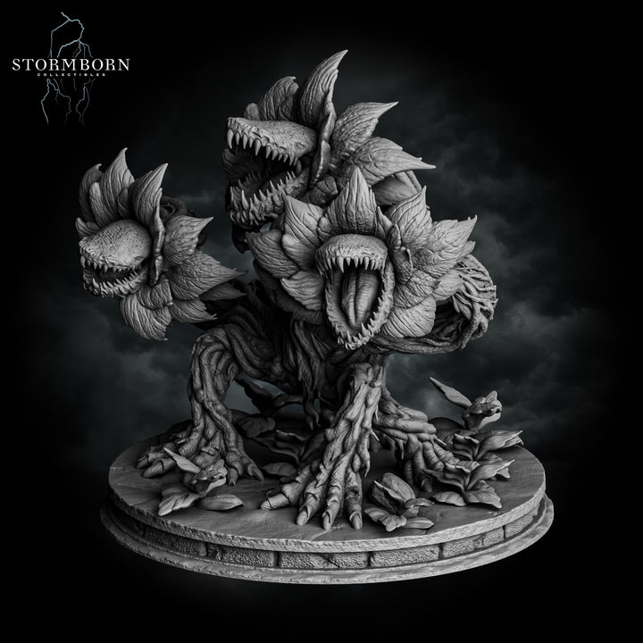 Hydra Bloom
