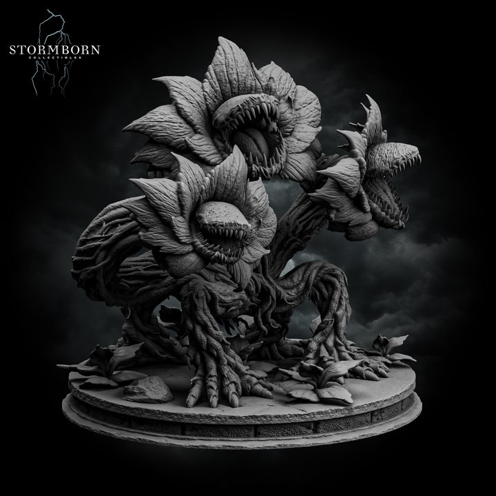 Hydra Bloom