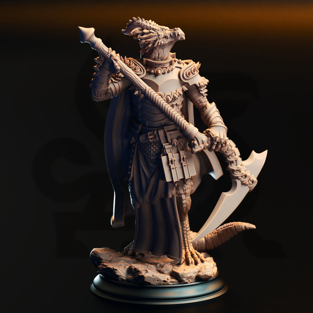 Silver Dragonborn Warlock - Ilvias the Reaper