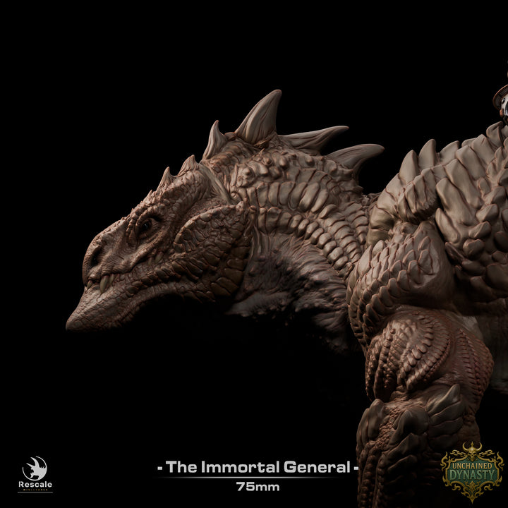 Immortal General &amp; Lizard