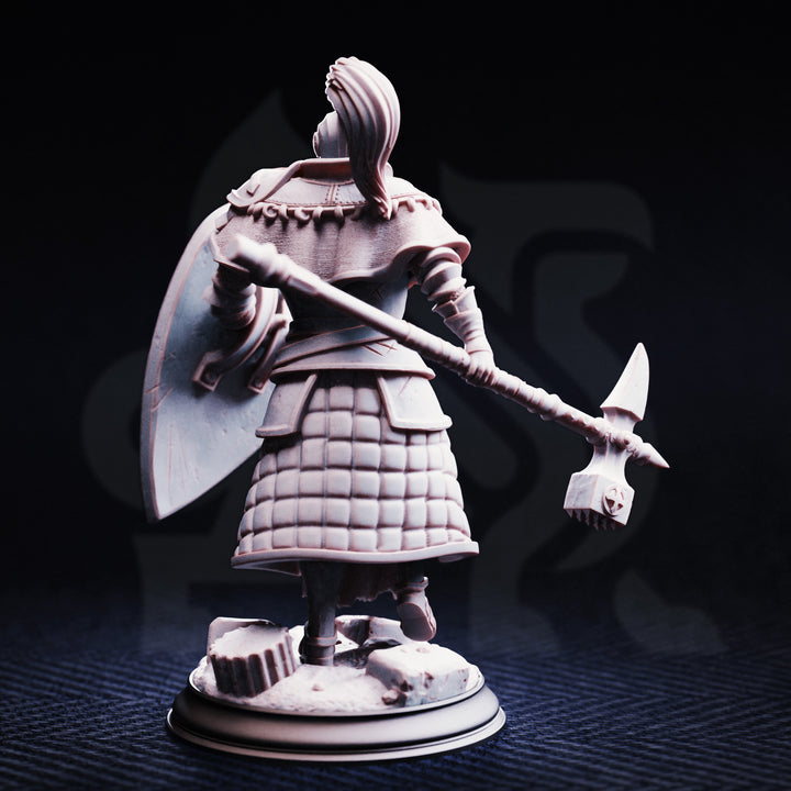Conquest Paladin - Jeremus of Jochenia