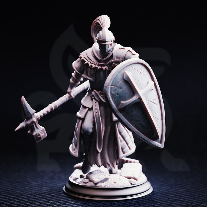 Conquest Paladin - Jeremus of Jochenia