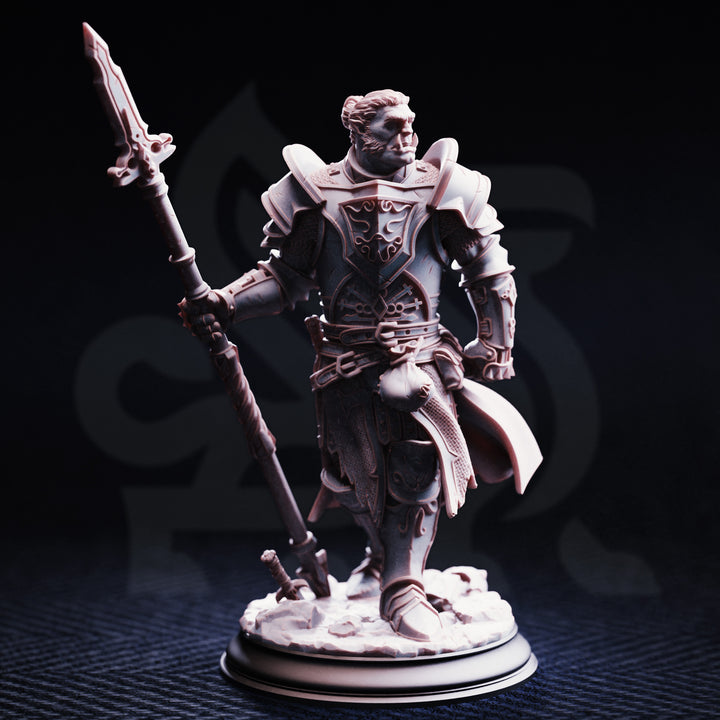 orc Paladin - Krunthar