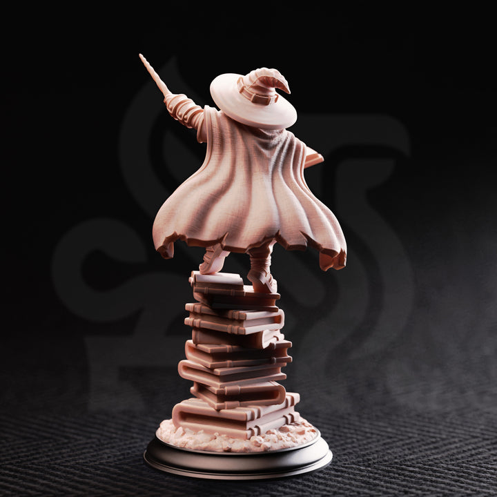 Gnome Arcane Professor - Pepitos the Manic