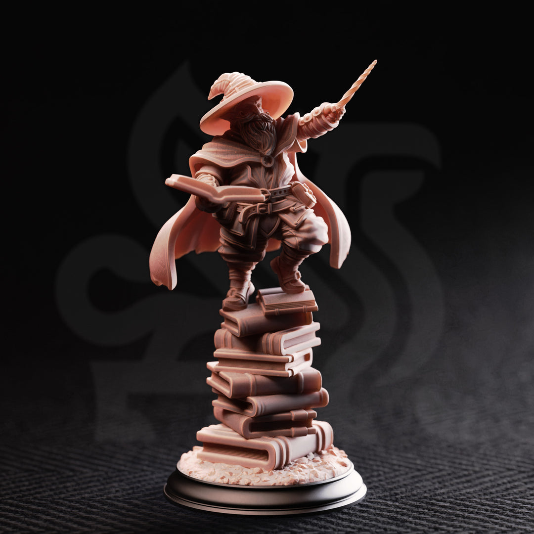 Gnome Arcane Professor - Pepitos the Manic