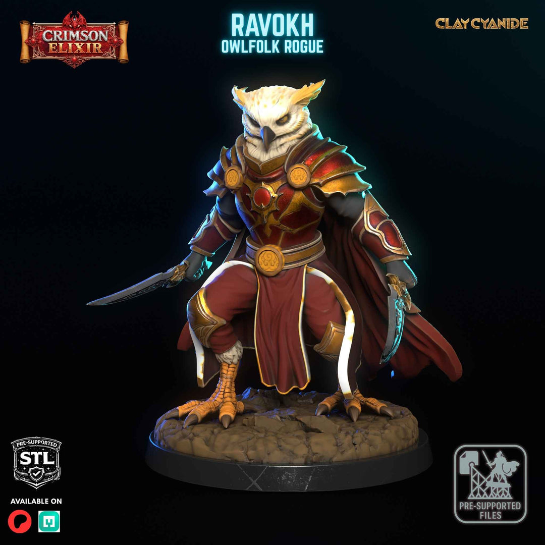 Ravokh - Owlfolk Rogue unpainted resin rogue miniature by Clay Cyanide, 28-32mm DnD tabletop model.
