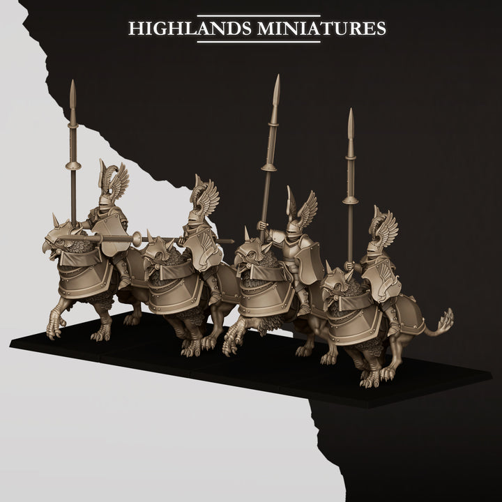 Sunland Wngless Gryphons Knights
