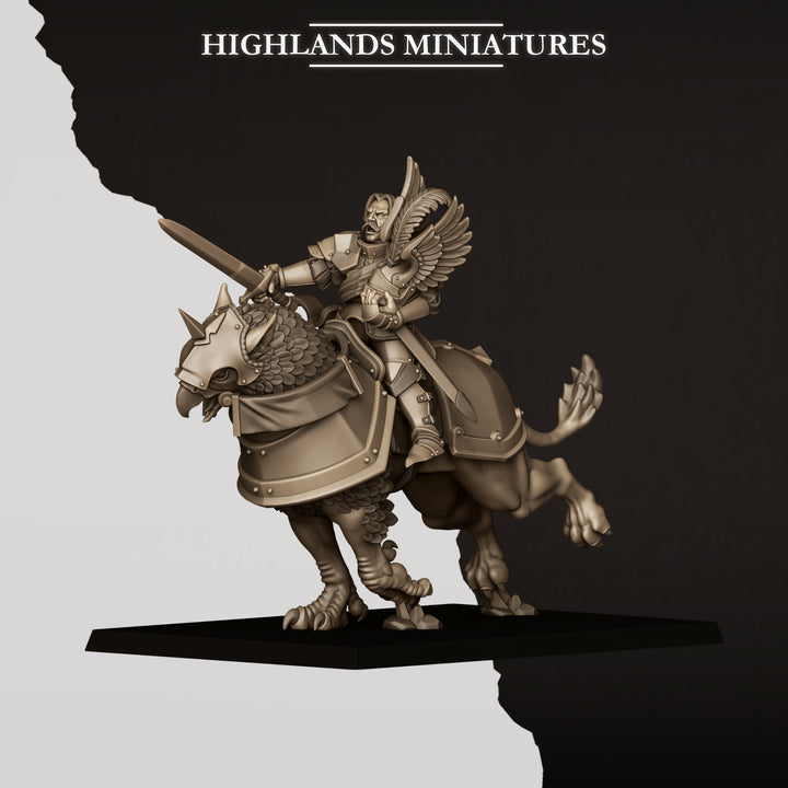 Sunland Wngless Gryphons Knights