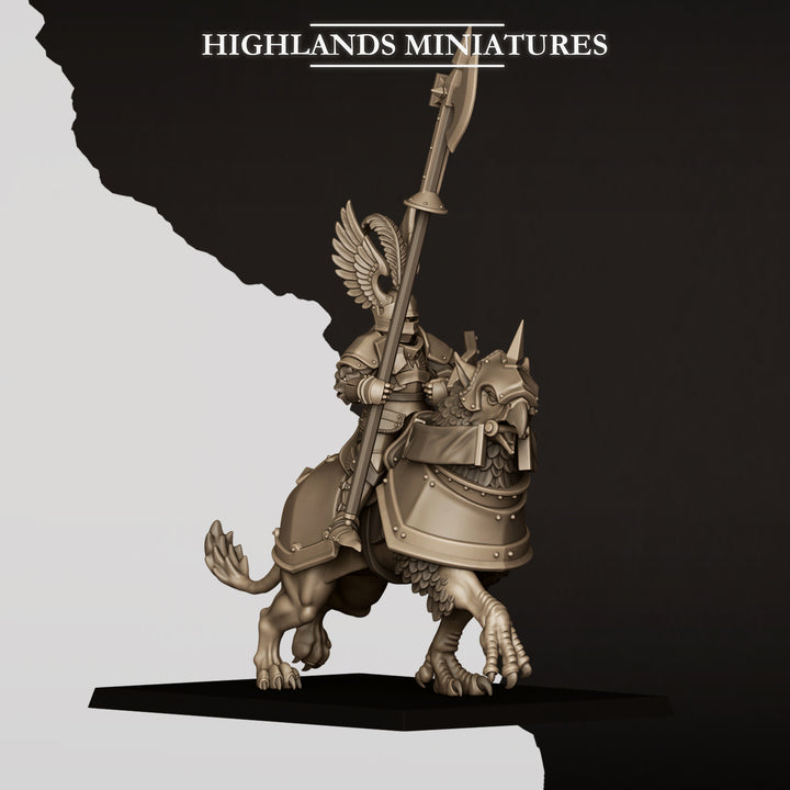Sunland Wngless Gryphons Knights