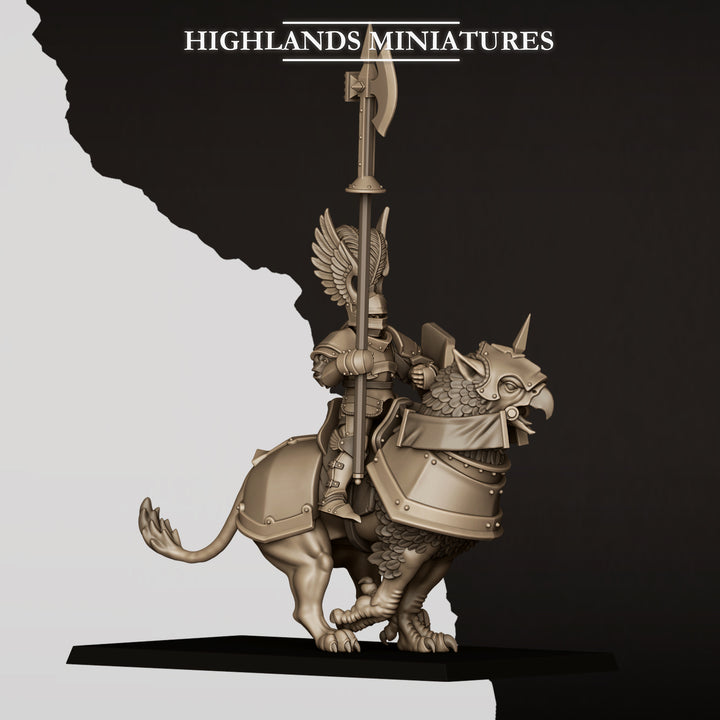 Sunland Wngless Gryphons Knights