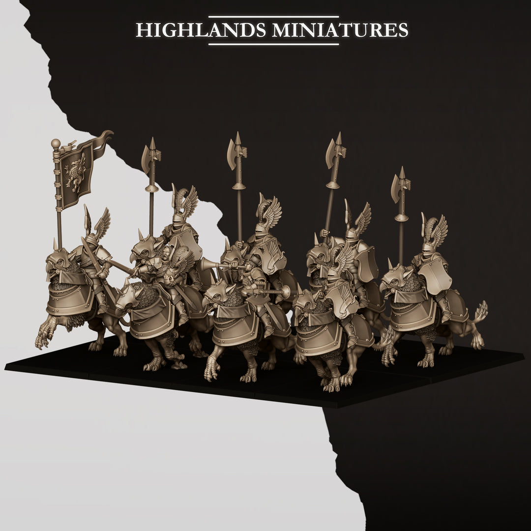 Sunland Wngless Gryphons Knights