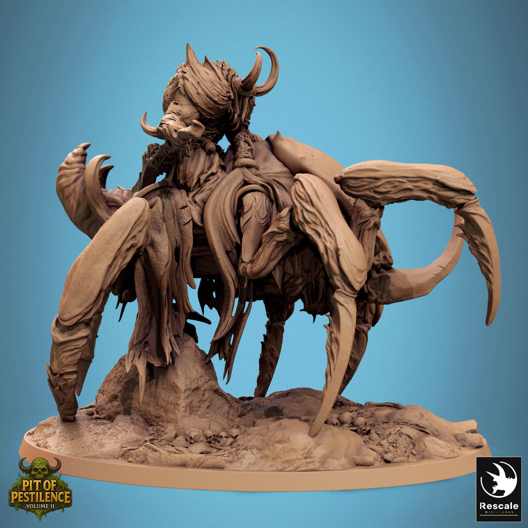 Scarab Host
