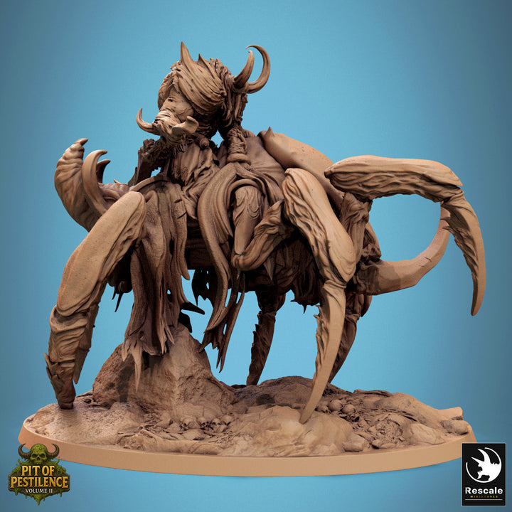 Scarab Host