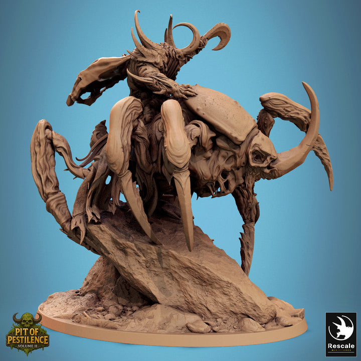 Scarab Host