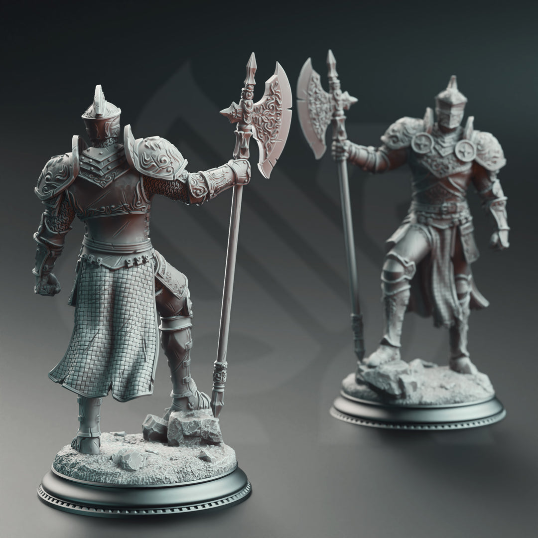 Knight of the Tower - Ser Claudius