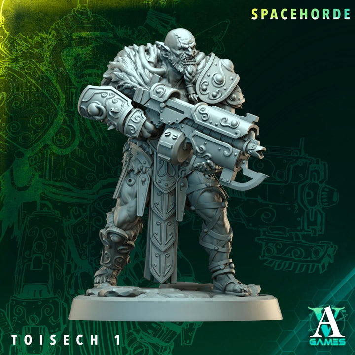 Toisech