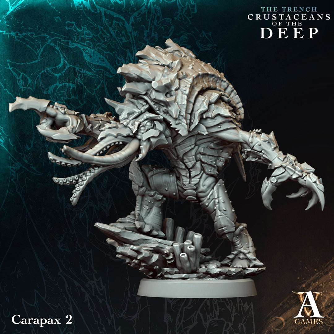 Carapax