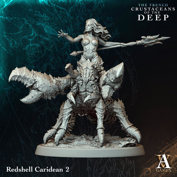 Redshell Caridean