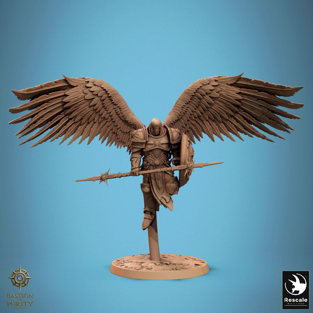 Ascended Legion Flying