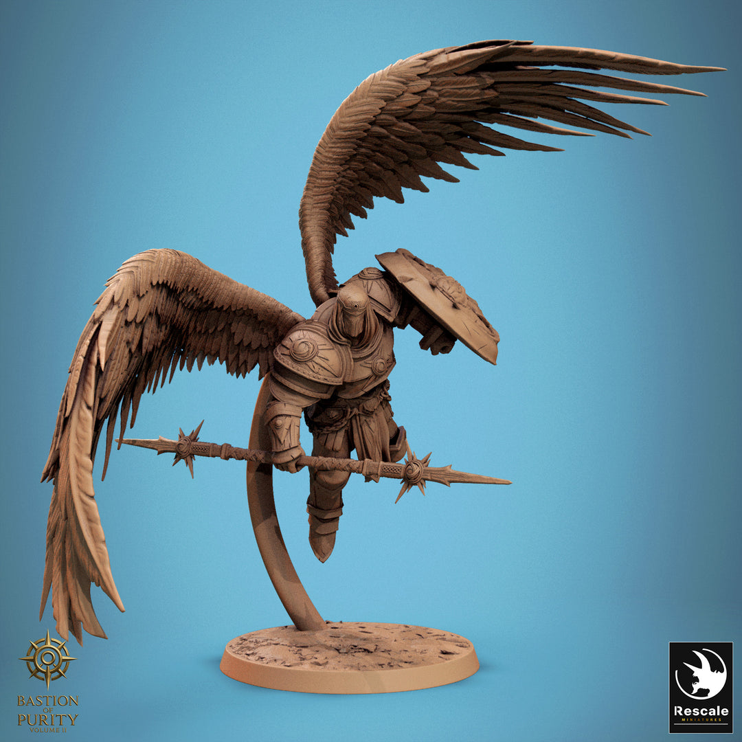 Ascended Legion Flying