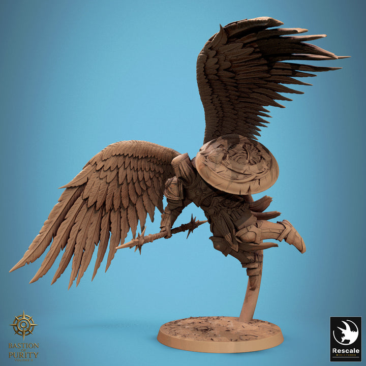 Ascended Legion Flying