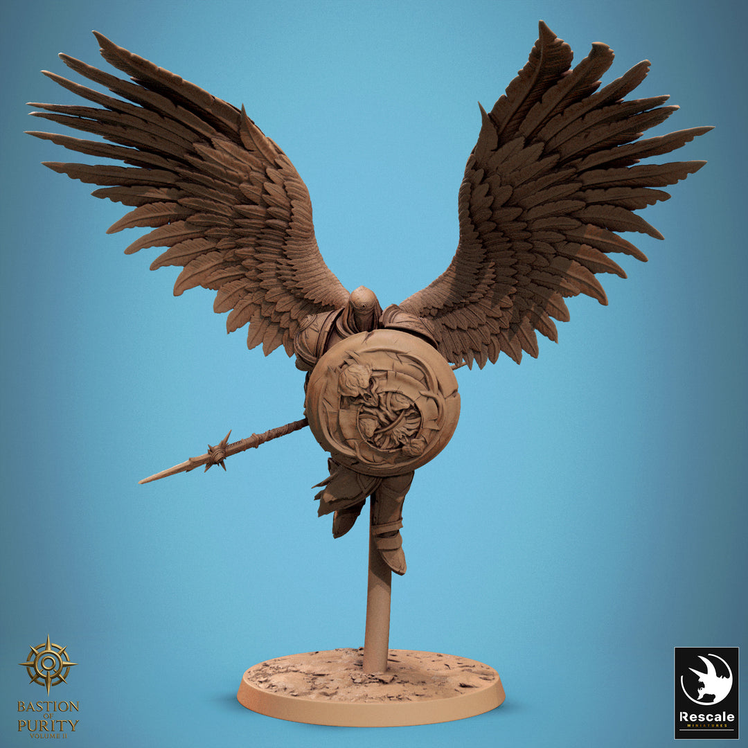 Ascended Legion Flying