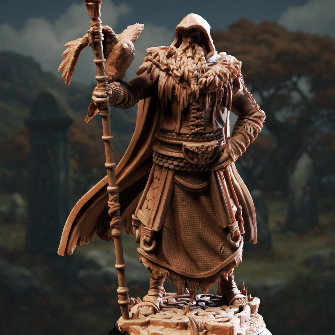 The One Eyed Wanderer - Odin unpainted resin character miniature by DM Stash, 28-32mm DnD tabletop model.