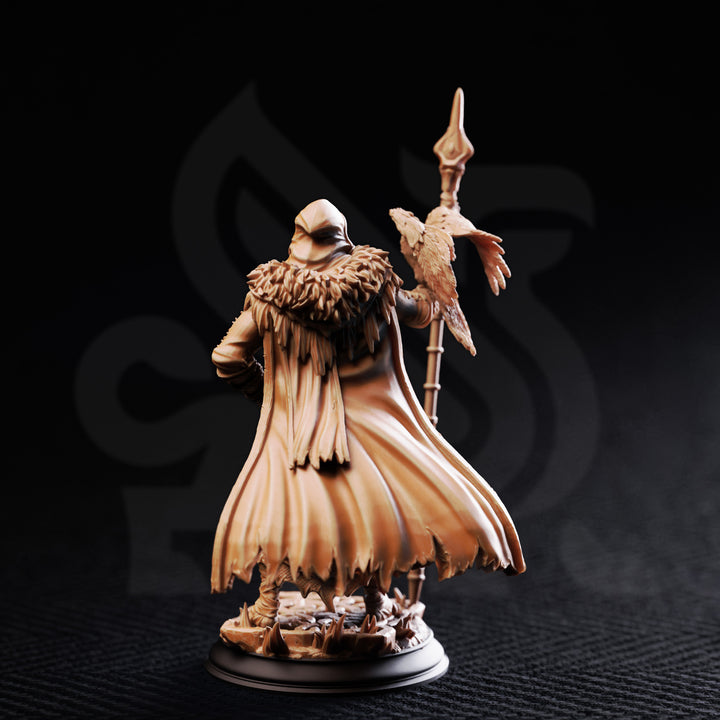 The One Eyed Wanderer - Odin