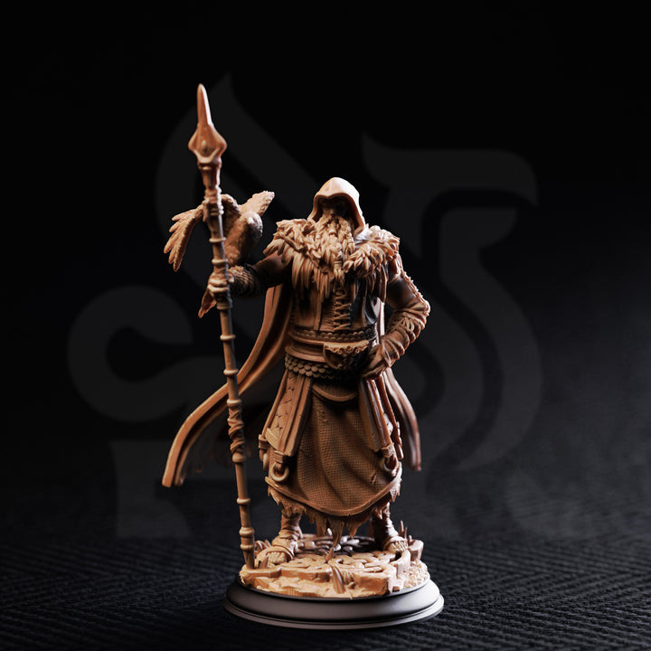 The One Eyed Wanderer - Odin