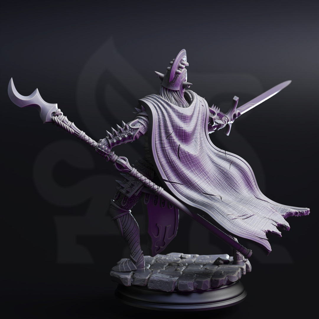 Elite Drow House Guard - The Ordained