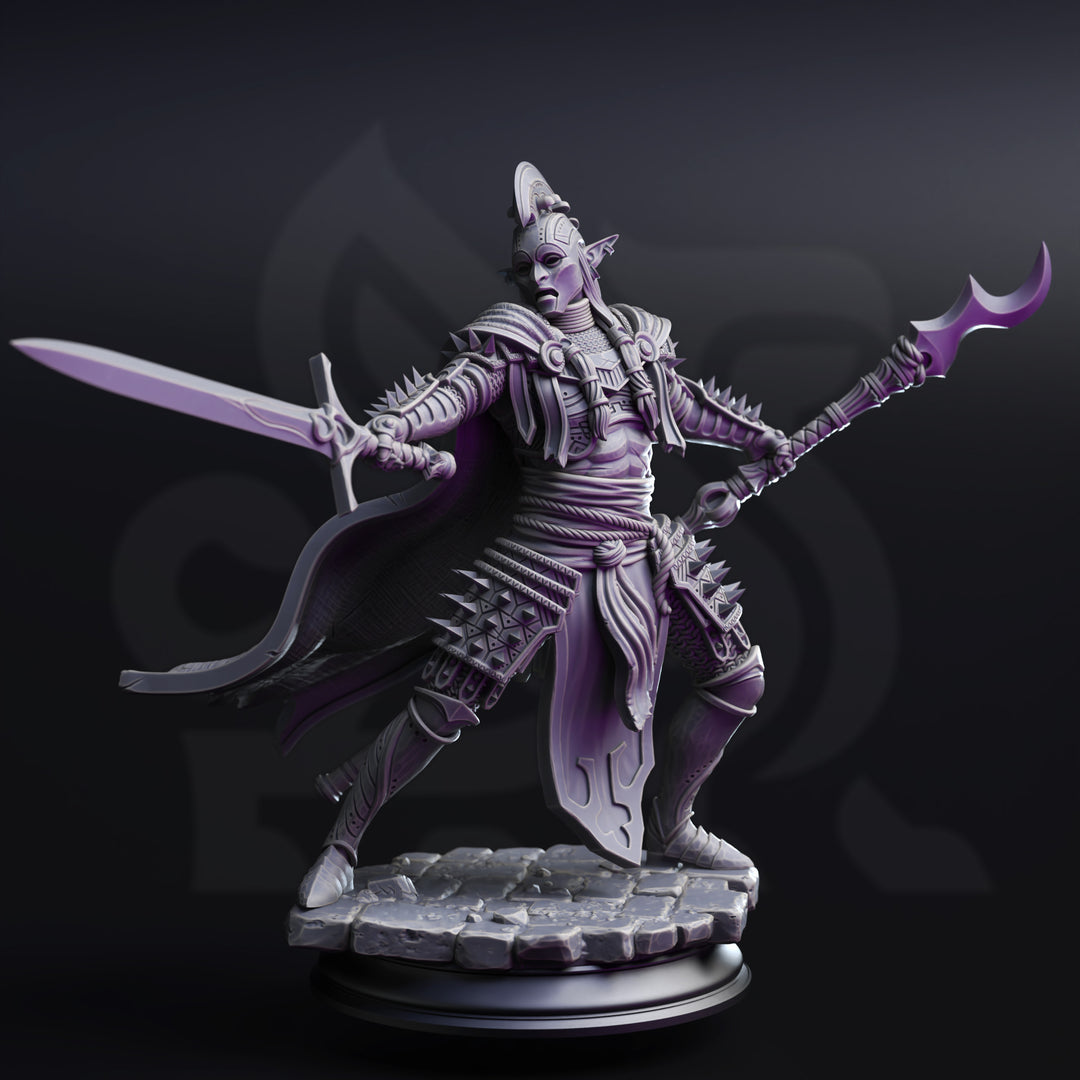 Elite Drow House Guard - The Ordained