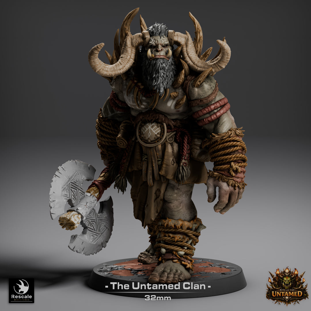 Orcs of the Untamed Clan
