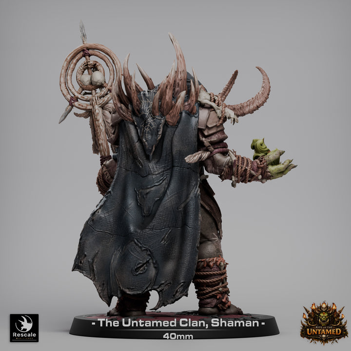 Orc Untamed Shaman