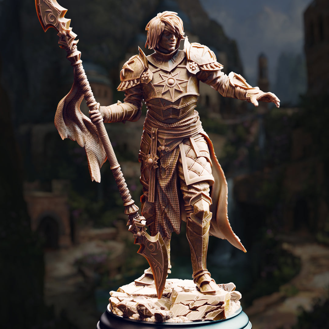 Dark Sun Paladin - Vendimar Thyran unpainted resin elf miniature by DM Stash, 28-32mm DnD tabletop model.