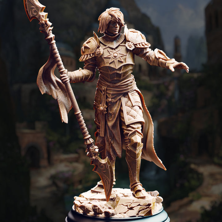 Dark Sun Paladin - Vendimar Thyran unpainted resin elf miniature by DM Stash, 28-32mm DnD tabletop model.