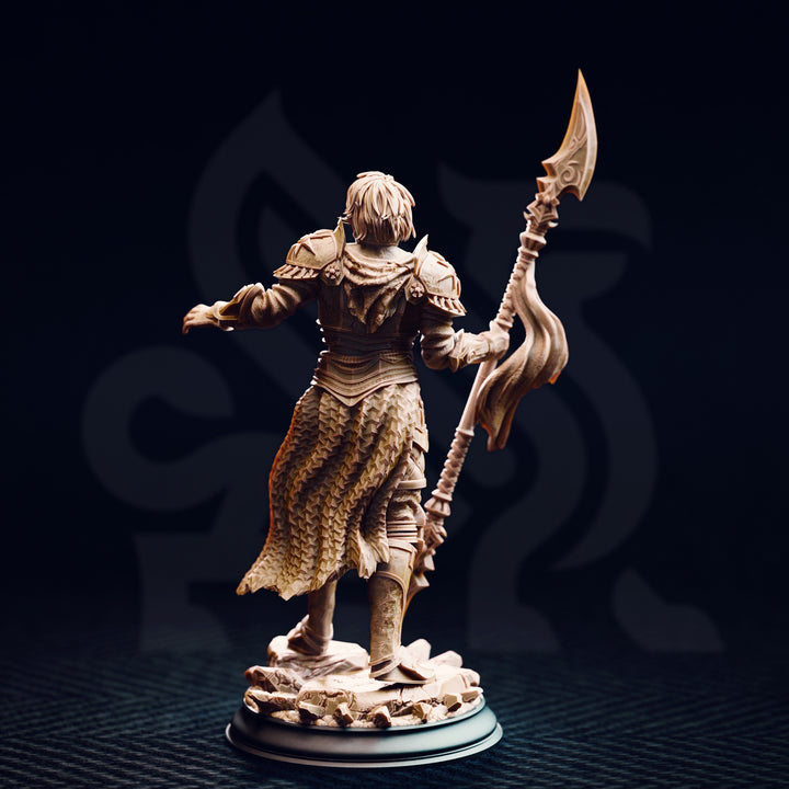 Dark Sun Paladin - Vendimar Thyran
