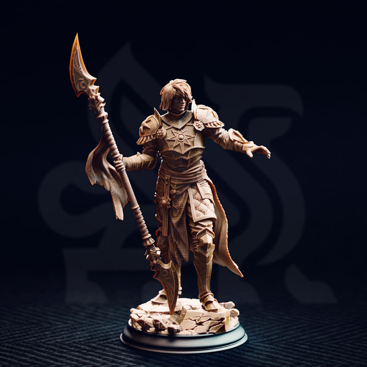 Dark Sun Paladin - Vendimar Thyran