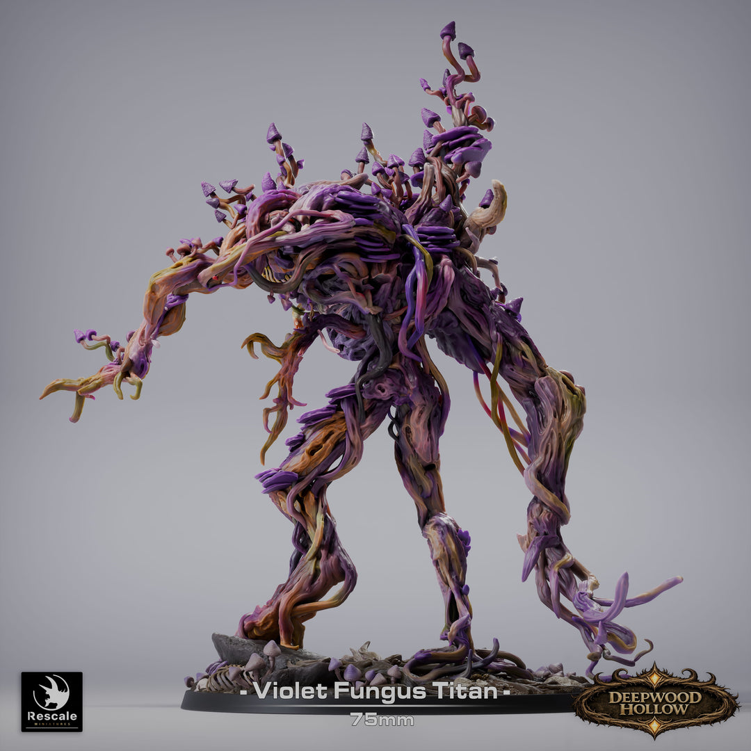 Violet Giant Fnngus