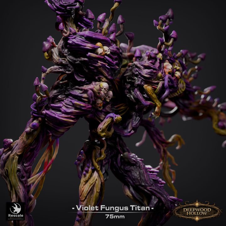 Violet Giant Fnngus