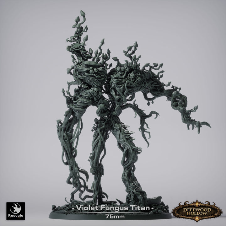 Violet Giant Fnngus