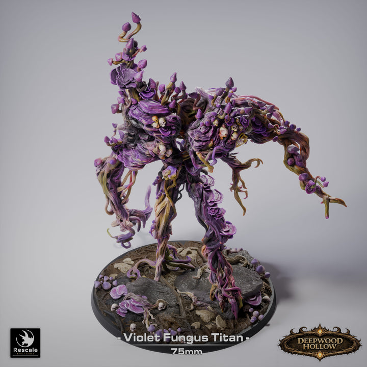 Violet Giant Fnngus