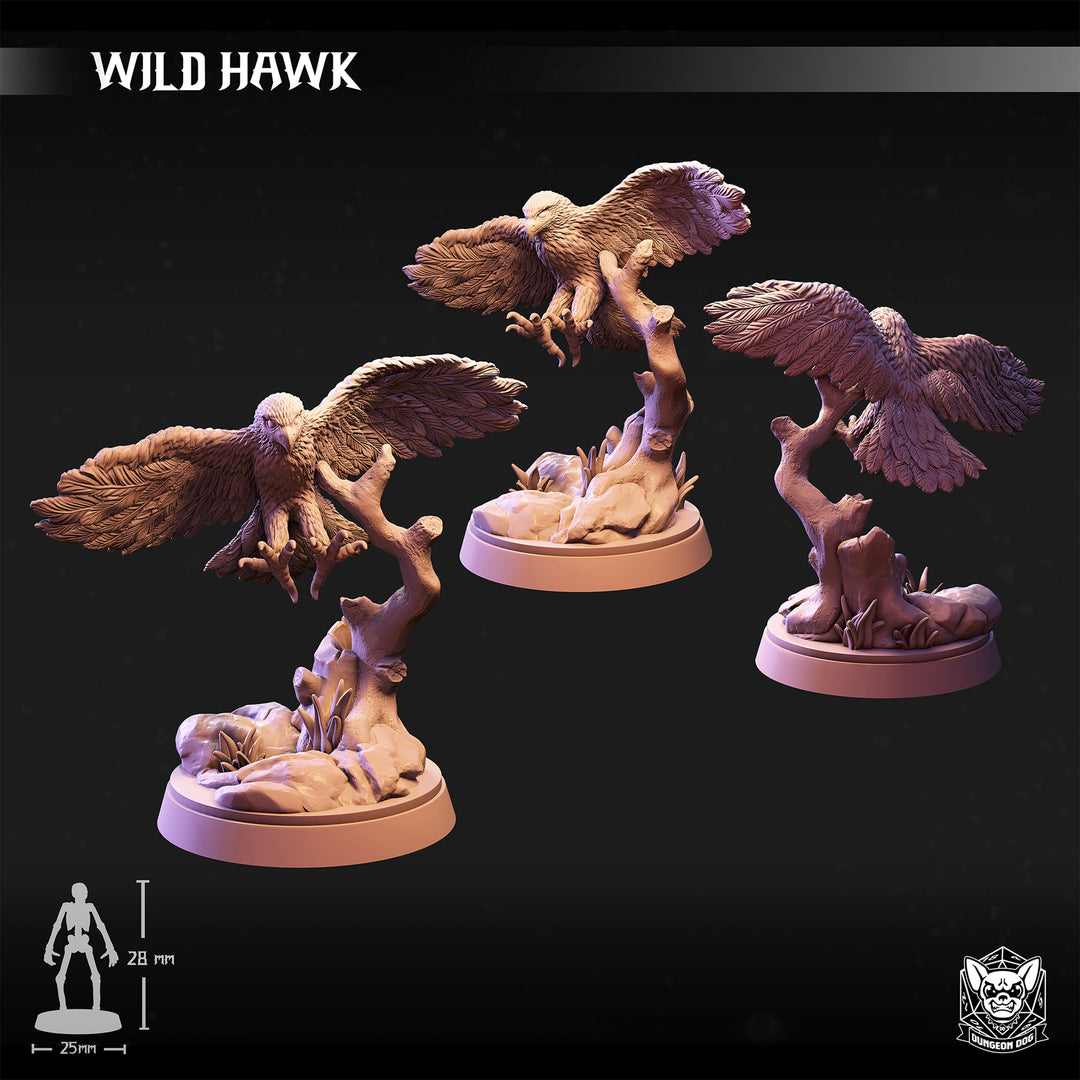 Wild Hawk unpainted resin fantasy miniature by Dungeon Dog, 28-32mm DnD tabletop model.