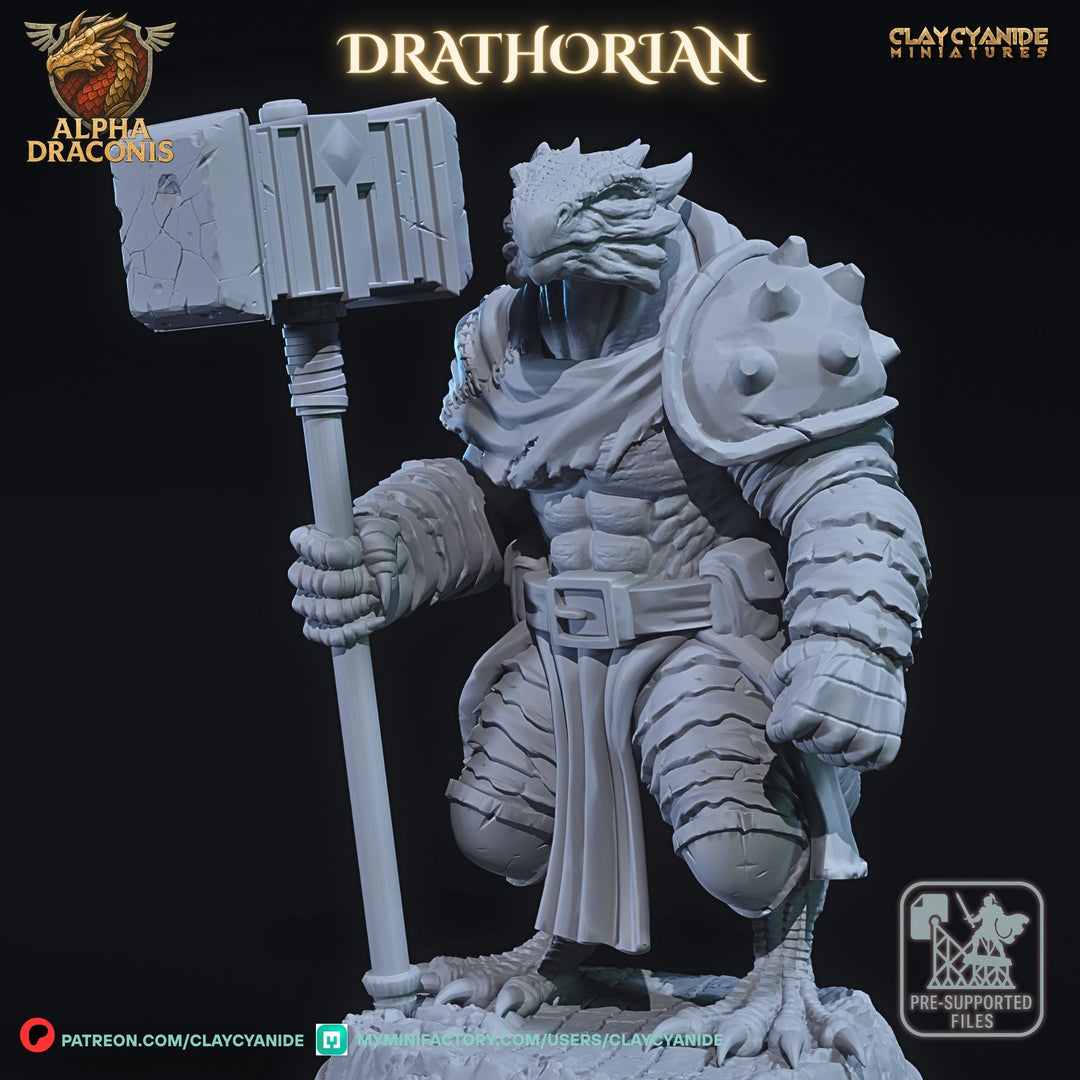 Drathorian - Draconic Fighter