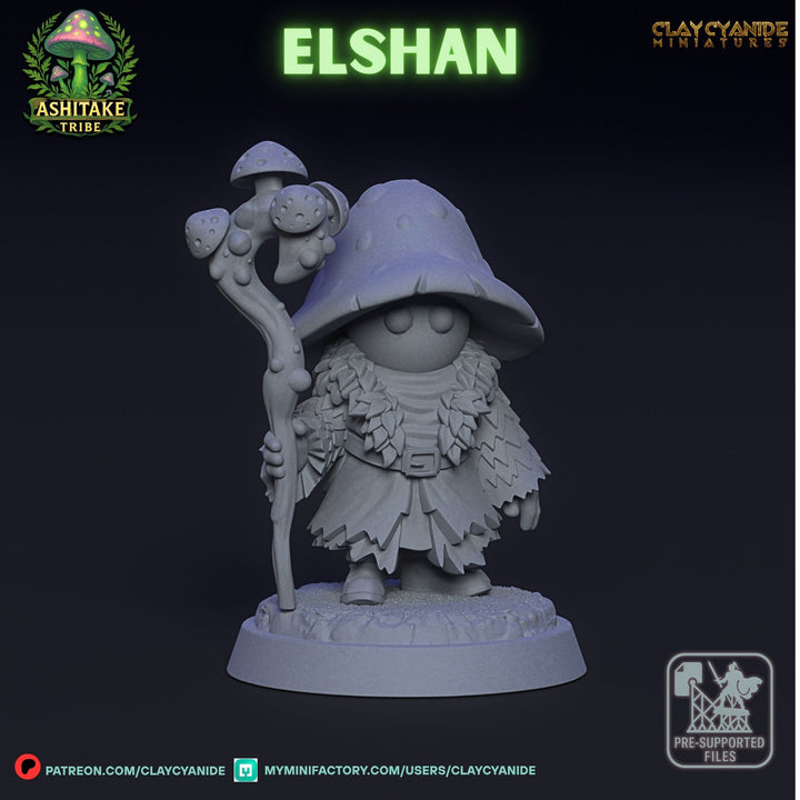 Mushroom Elshan